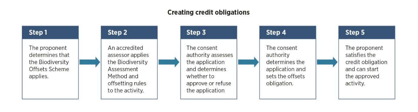 Creating credit obligations flowchart