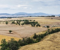 Farmland, Hunter Valley near Scone