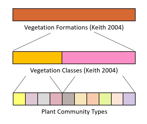 The hierarchy of vegetation classification