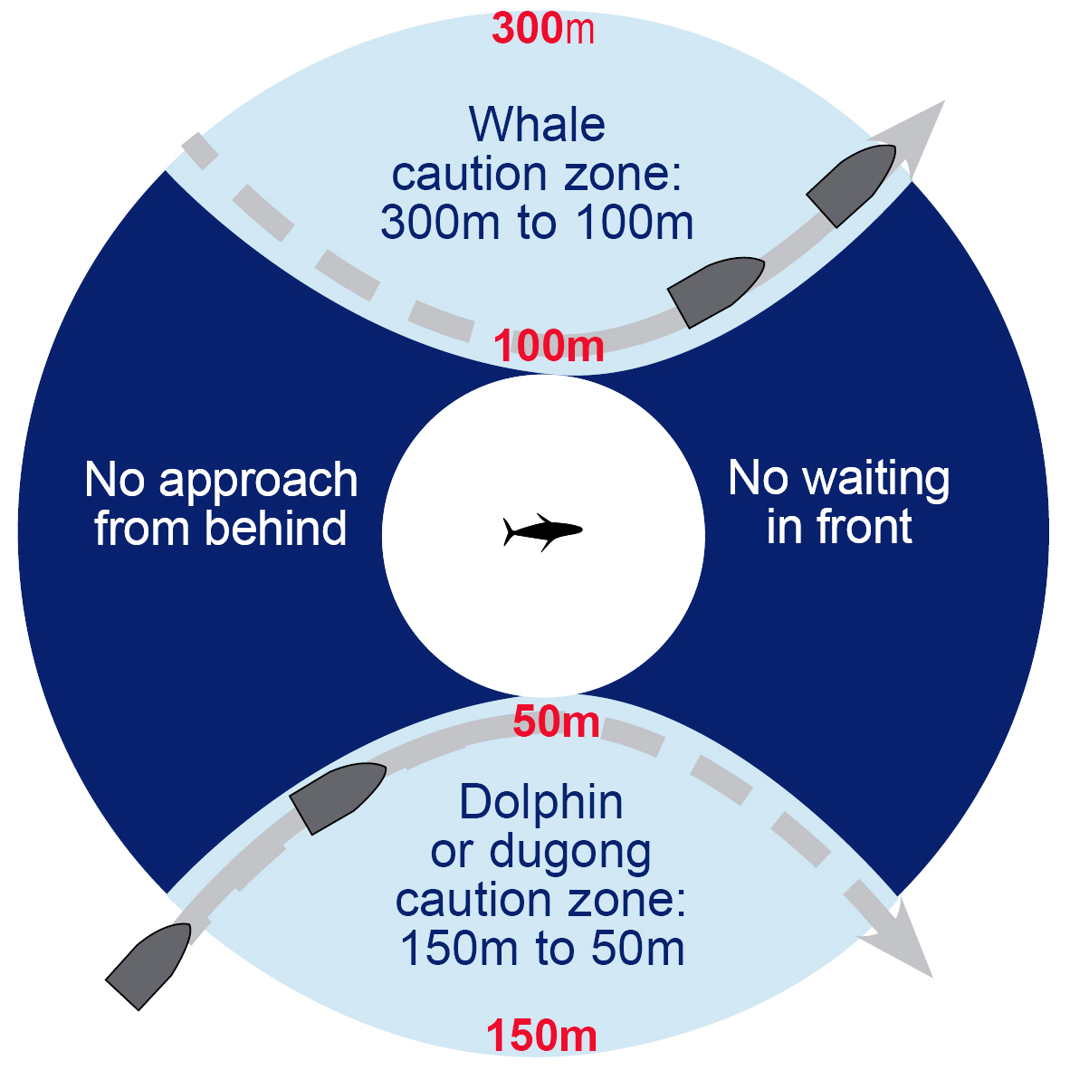 Approach distances for whales, dolphins and dugongs.