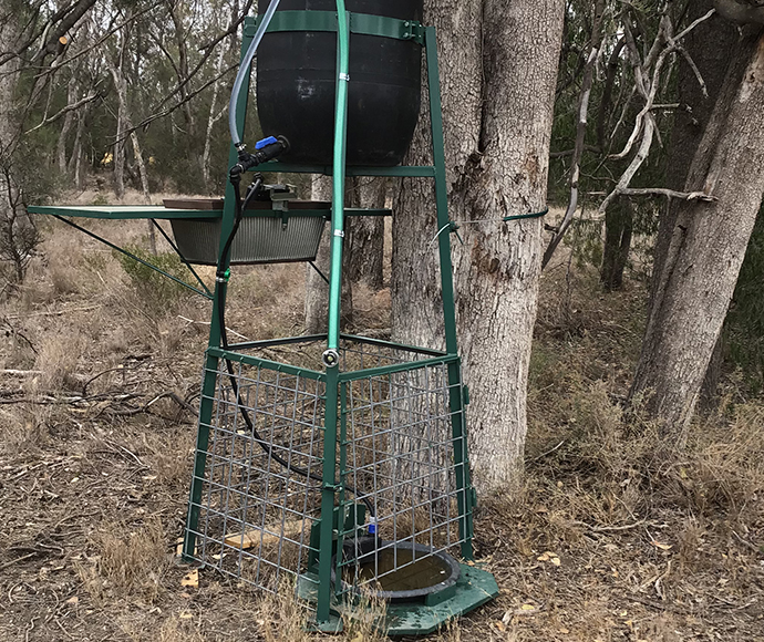 Koala watering station