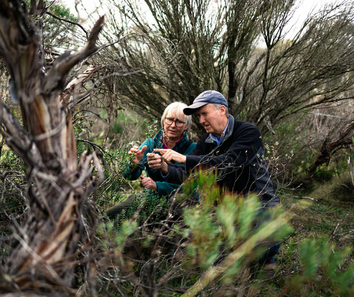 SOS Threatened Species experts Gen Wright and John Briggs inspecting a mallee.
