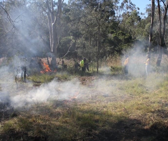 An example of a cultural burn, a  fire deliberately put into the landscape authorised and lead by the Traditional Owners of that Country.