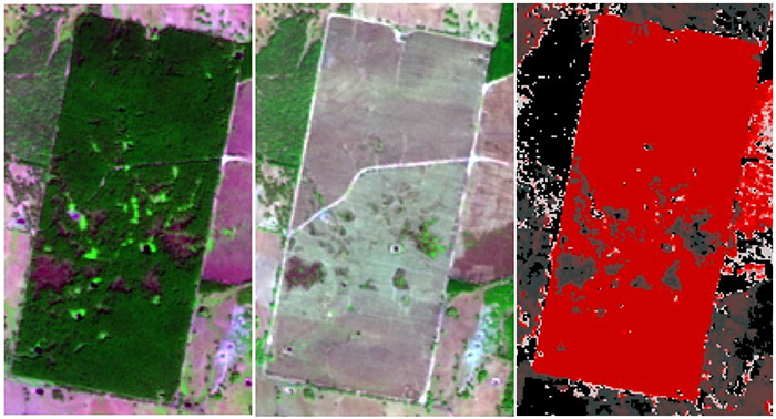 Satellite images from left to right showing before clearing, after clearing for agriculture and SLATS change detection showing clearing activity in red.