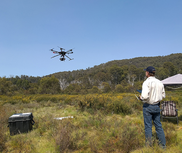 Drone survey for orange hawkweed (Hieracium aurantiacum subsp. carpathicola), Kosciuszko National Park