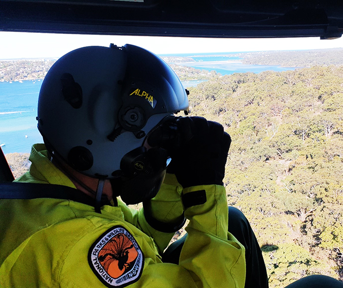 NPWS staff using thermal imaging equipment to check the operation area prior to operation