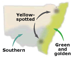 Map of NSW showing distribution of bell frogs