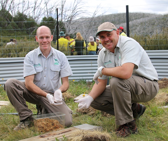 Michael McFadden and Trent Russell (Taronga Zoo) releasing southern corroboree frogs into disease-free enclosures in Kosciuszko National Park.