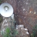 A loudspeaker rests against a boulder amongst scrub