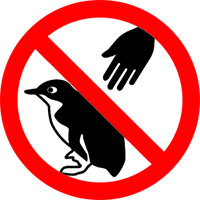 No touching little penguins sign