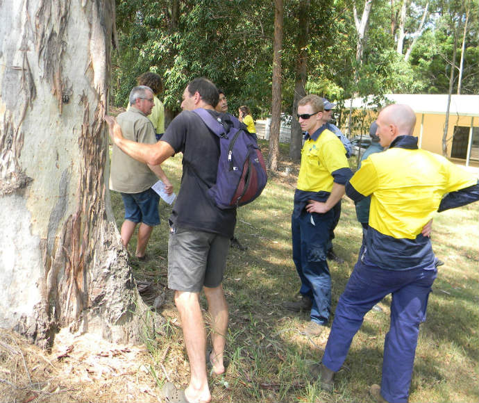 Bush regeneration training northern NSW