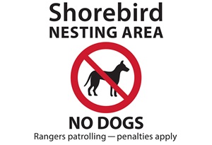 Photogprah of a white black and red sign saying: Shorebird nesting area no dogs, rangers patrolling - penalties apply