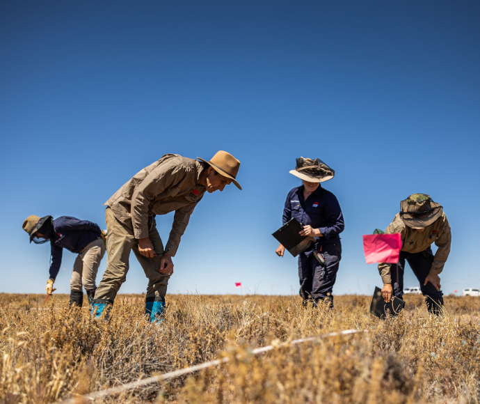 Scientists surveying green spots in the outback