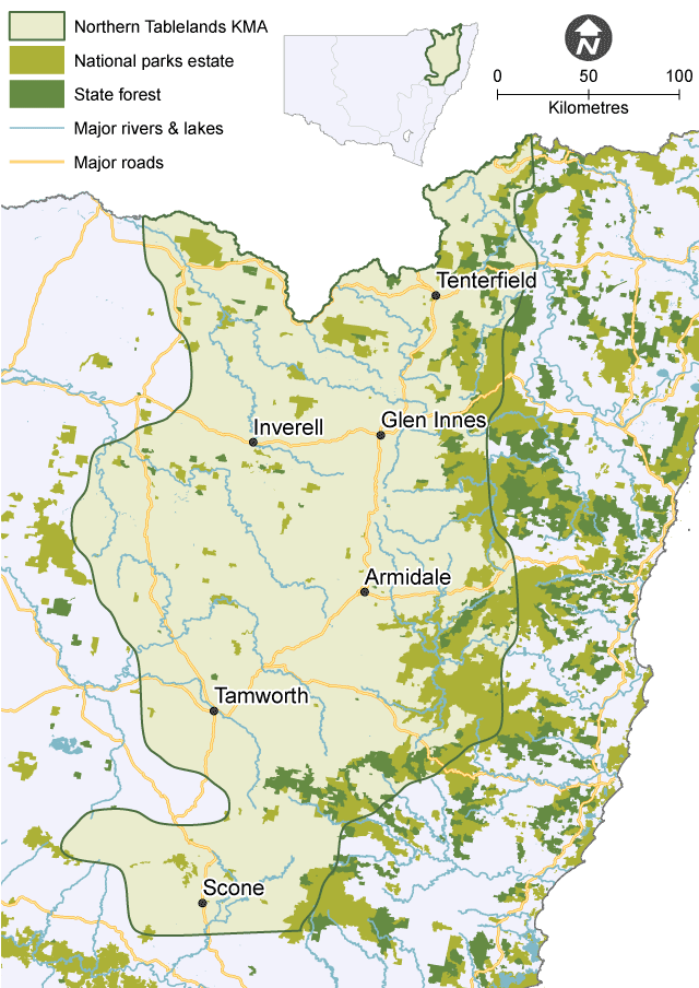 Map of Northern Tablelands Koala Management Area.