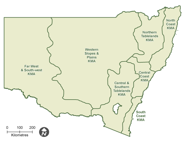 Map of New South Wales showing the 7 koala management areas.