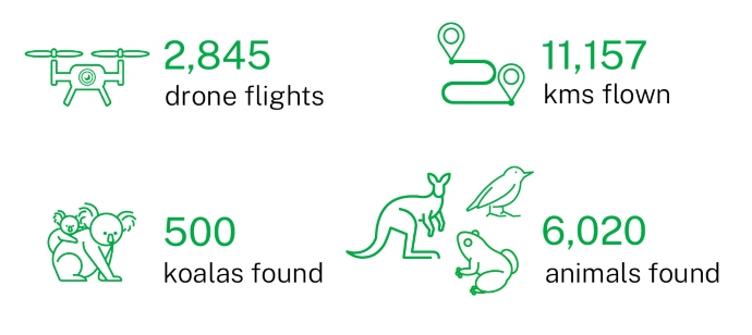 2845 drone flights, 11,157 kilometres flown, 500 koalas found, 6020 animals found