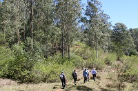 Group of people walking on a track in bushland on the Hardwicke biobank site