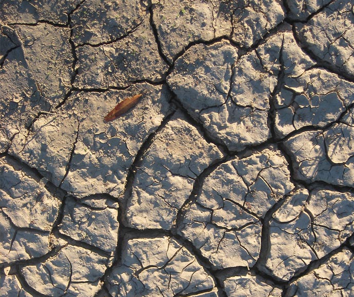 Cracked clay soil during drought