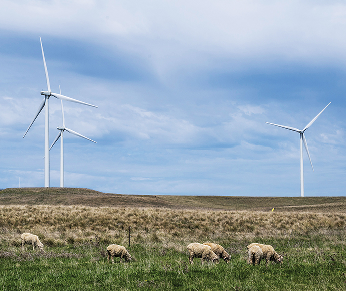 Windmills at Boco Rock Wind Farm, Nimmitabel. Sheep graze in the foreground