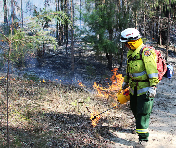 Staff from Metro South West and Blue Mountains regions undertaking the Pisgah Ridge hazard reduction burn near Glenbrook in the Blue Mountains National Park