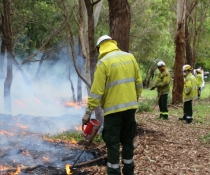 Controlled burn by National Parks and Wildlife Service and NSW Rural Fire Service staff
