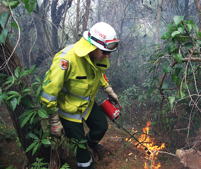 Controlled Burn by National Parks and Wildlife Service and NSW Rural Fire Service, fire and Rescue NSW. Andrew Smith.