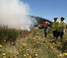 Men watching burning grass
