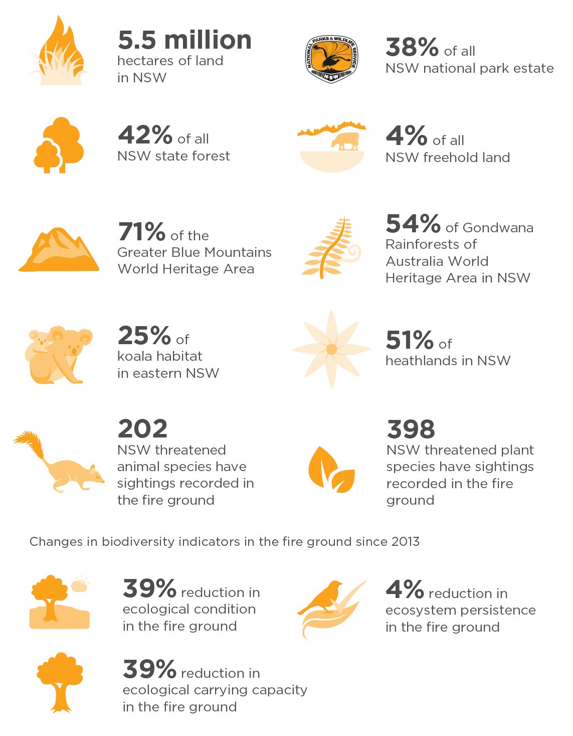 NSW Wildlife and Conservation Bushfire Recovery – medium-term response plan