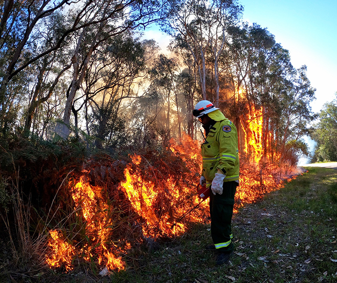 Hat Head National Park hazard reduction burn