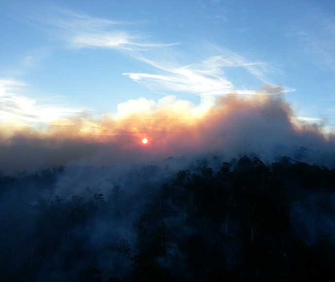 Smoke at dawn over Denison providence hazard reduction burn