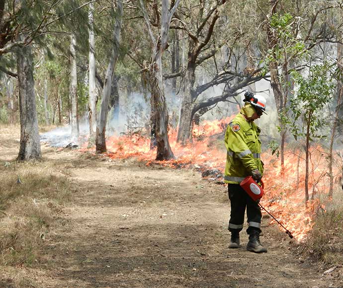 Backburn hazard reduction fire personnel using drip torch to light up in Guy Fawkes River National Park