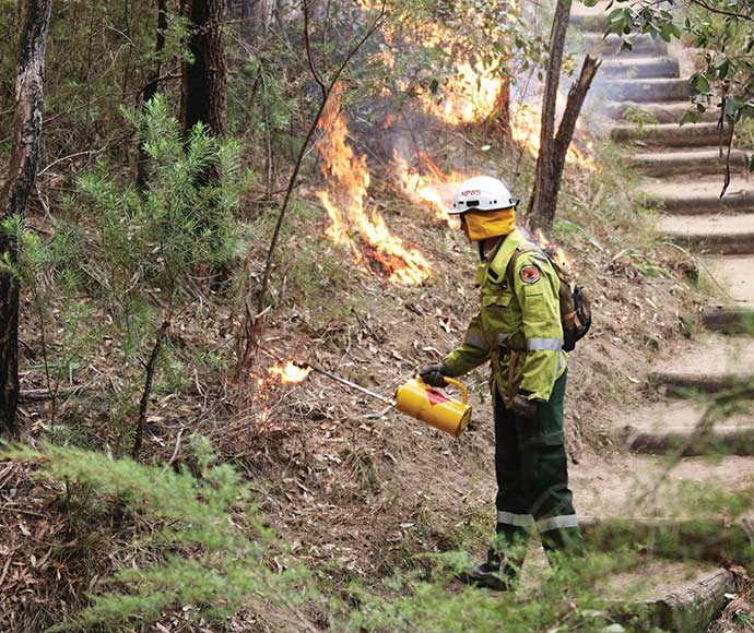 Staff from Metro South West and Blue Mountains regions undertaking the Pisgah Ridge Hazard Reduction burn, near Glenbrook in the Blue Mountains National Park.