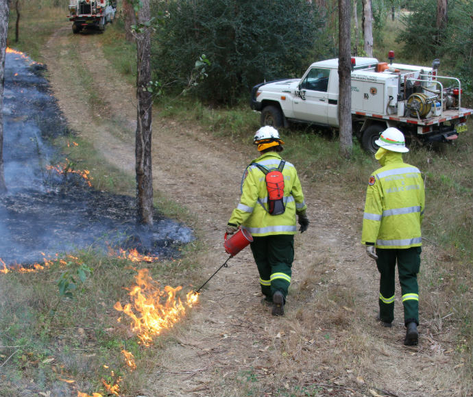 Trainee field officers, hazard reduction burn