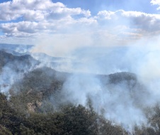 Hazard reduction burn in Wollemi National Park