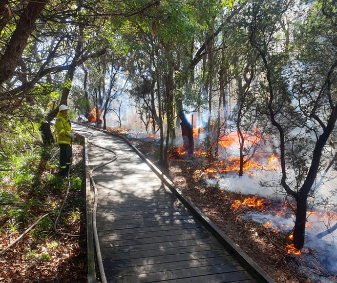Hazard reduction burn for Kamay Botany Bay National Park