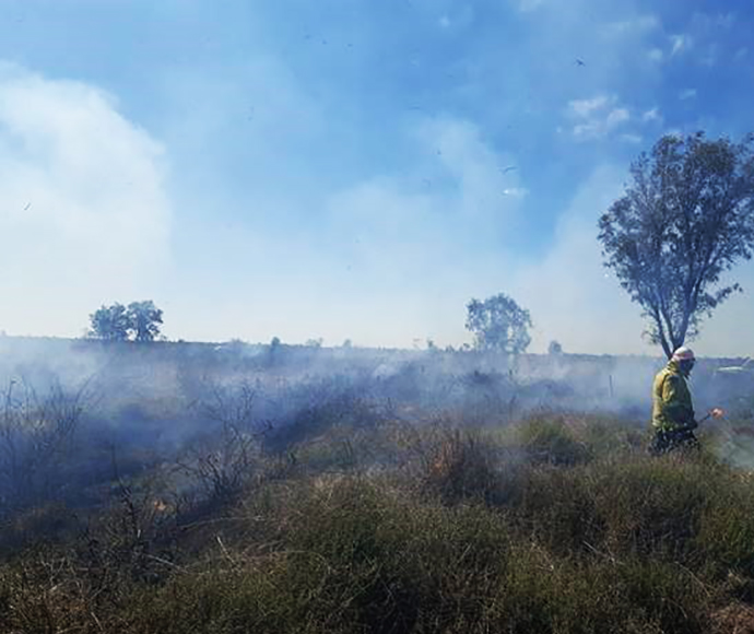 Recent hazard reduction burn in grassland at nearby Kirramingly Nature Reserve