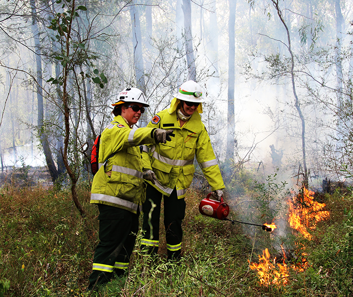 NPWS hazard reduction burn