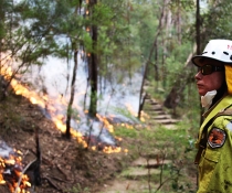 Staff from Metro South West and Blue Mountains regions undertaking the Pisgah Ridge hazard reduction burn near Glenbrook, Blue Mountains National Park