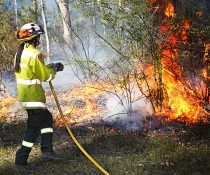 All Female Hazard Reduction Burn, Scheyville National Park