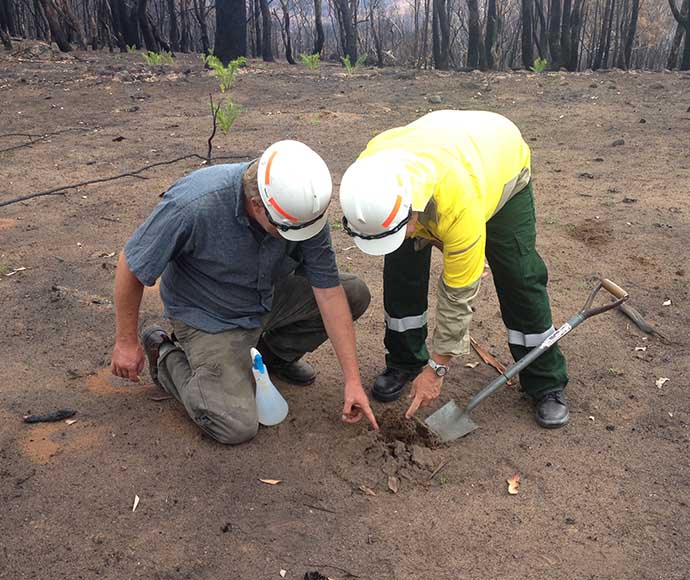 Monitoring fire recovery after Wambelong wildfire Warrumbungle National Park field based research