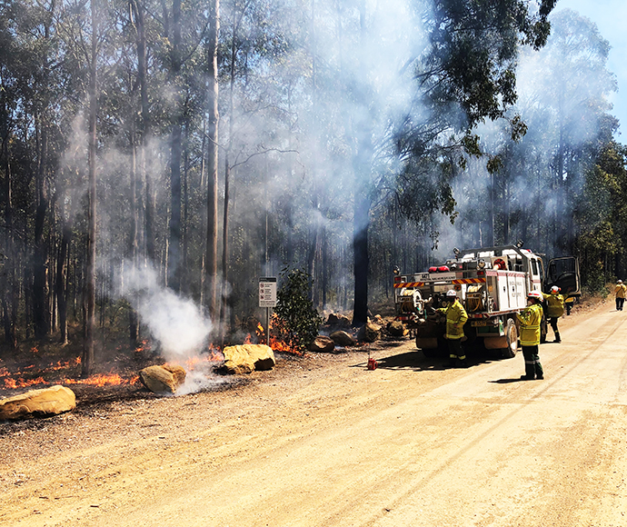 NPWS and RFS undertaking a recent hazard reduction burn in the Werakata State Conservation Area