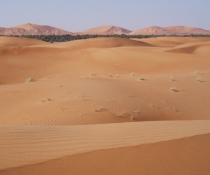 Red dunes near Al Ain, soil survey of Abu Dhabi