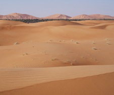 Red dunes near Al Ain, soil survey of Abu Dhabi