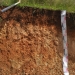 This batter shows a Brown Dermosol, NW of Glenrock in the Hunter catchment, NSW. 