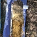 Soil profile completed in the burn area