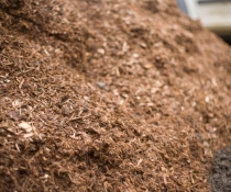 Close-up photograph of a mound of pine-based mulch with details of shredded wood