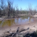 High salinity levels in wetlands in inland NSW can be an indicator of potential acid sulfate soil hazards.