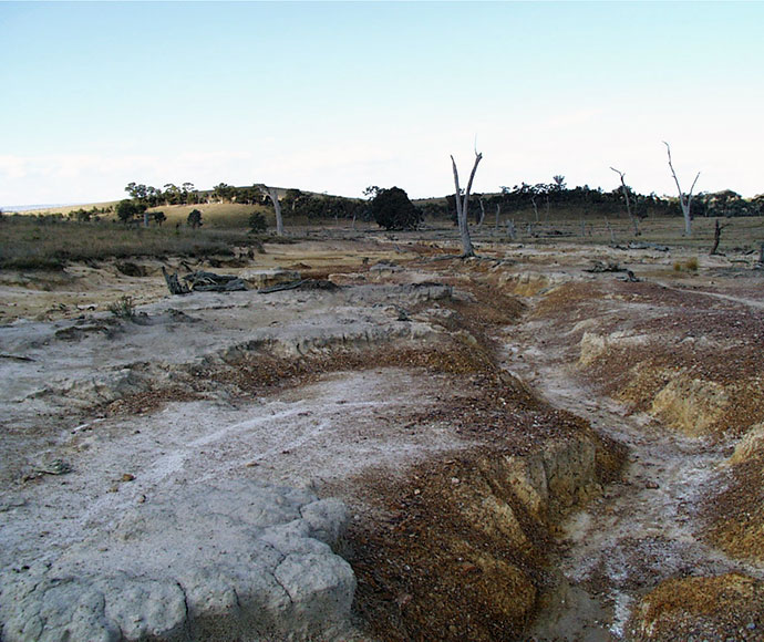 Fragile soils have become severely eroded near Bevendale due to the loss of vegetation cover from dryland salinity.