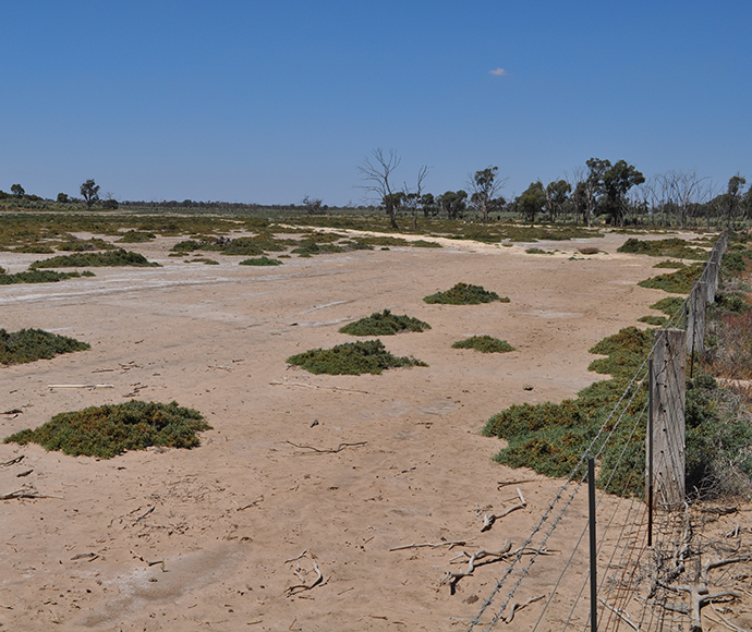 Dryland salinity outbreak, middle Murray catchment, NSW