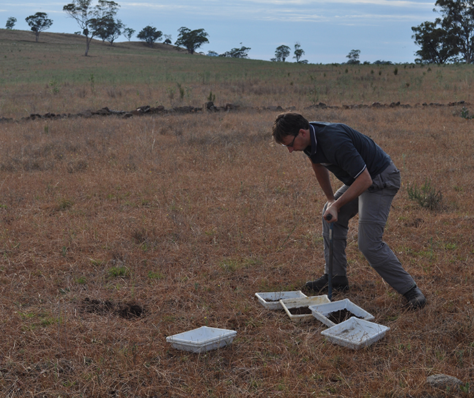 Soil scientist using an auger to collect soil samples